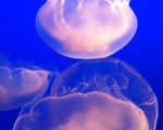 img_0765